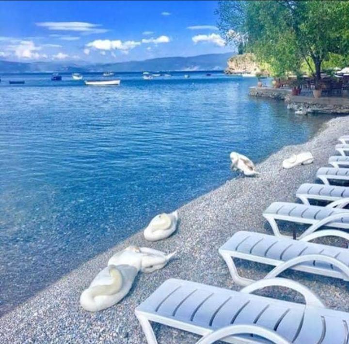 Tatjana Niche Apartmant 2 Centar Ohrid Bagian luar foto